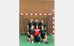 Séniors F HBCI de la saône/HBSC