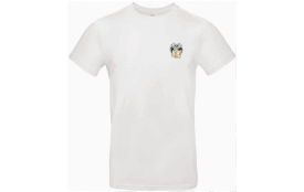 Tee shirt coton