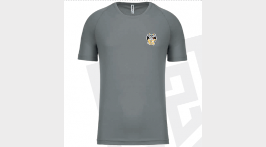 Tee shirt sport homme